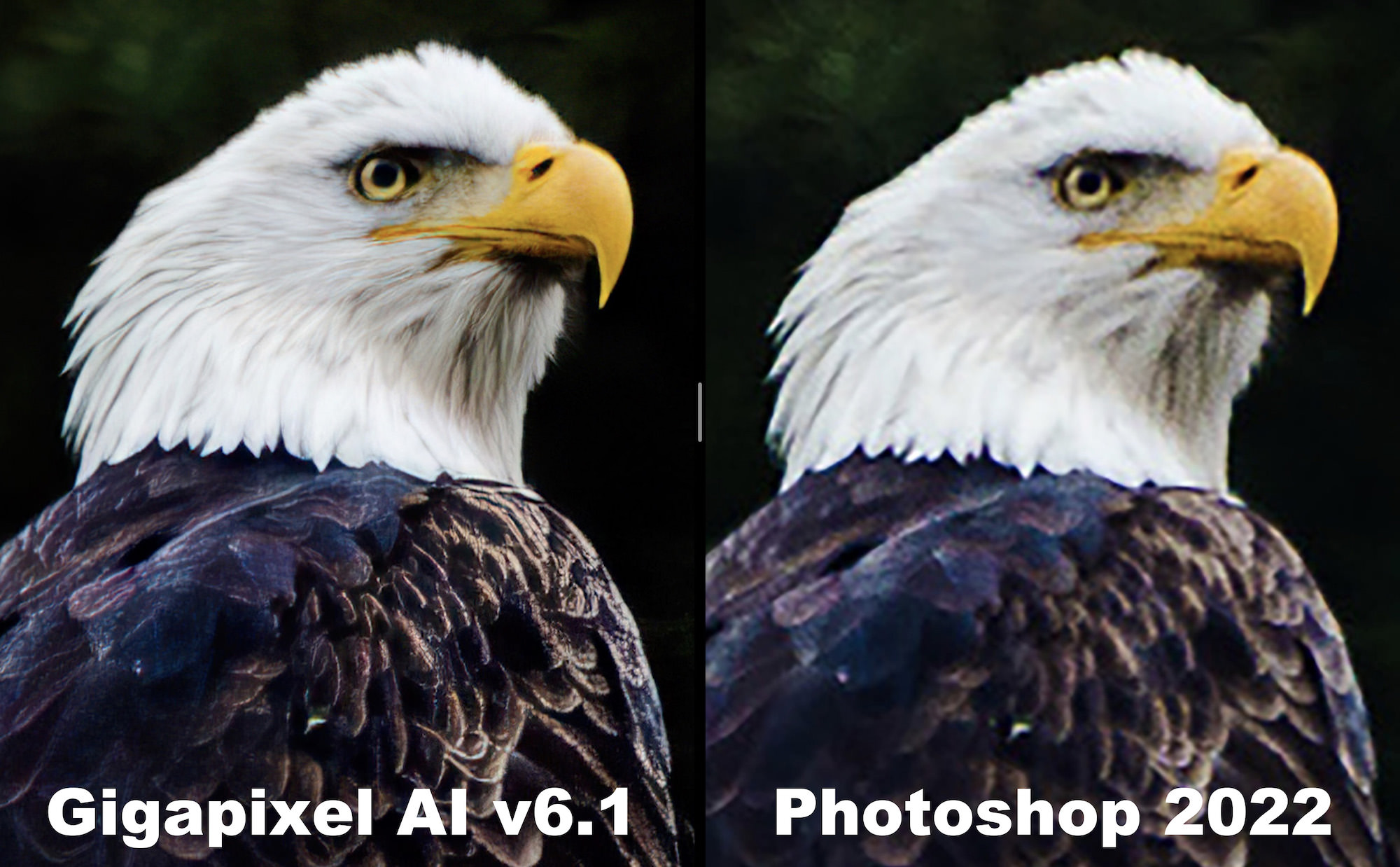 Significant improvements to face recovery when upscaling photos with